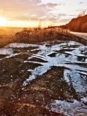 Super husband Lin Xi Super husband Lin Xi