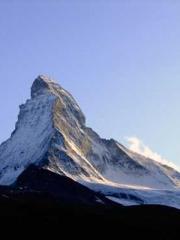 My pets are all amaz