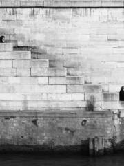 One Pregnancy, Two B