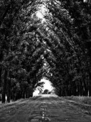 lt;Honor calls for N