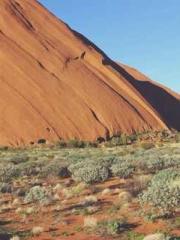 Ancient God Emperor Ancient God Emperor