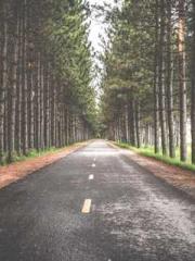 Lin Feng Lin Yun Yao Lin Feng Lin Yun Yao