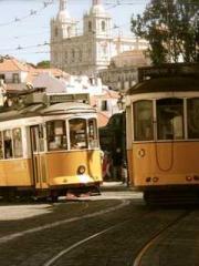 lt;Natural Disasters