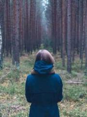 Transmigration: Feel Transmigration: Feel