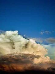 The Imperial Concubi