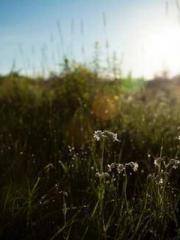 Ye Hishuiapos;s Nigh Ye Hishuiapos;s Nigh