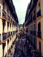 The Little Fox Spiri