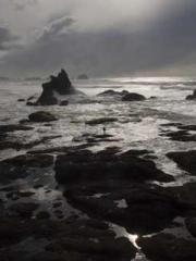 The wife wishes to b