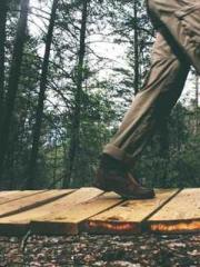 The Substitute Wife The Substitute Wife