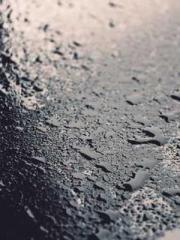 This is too funny! This is too funny!