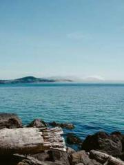 Supreme of the Nine Supreme of the Nine