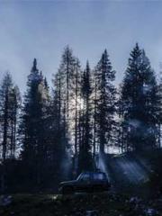 The Imperial Concubi The Imperial Concubi