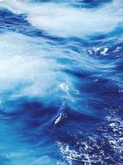 One person opens the One person opens the