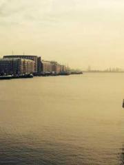 My Amazing Female Te