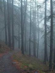 Bodhisattva of Compa