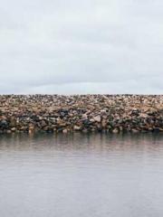 lt;lt; The Divine Do