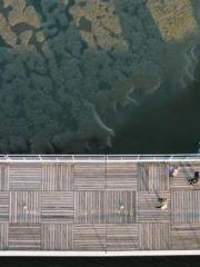 Rebirth in 1970: Eat