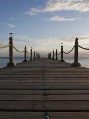 The Poisonous Doctor