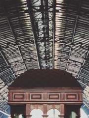 My Amazing Female Te