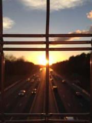 The supreme dragon s The supreme dragon s