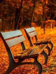 Morning sickness aft Morning sickness aft