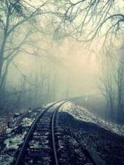 Lin Feng Lin Yun Yao Lin Feng Lin Yun Yao