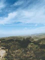 The generalapos;s yo The generalapos;s yo