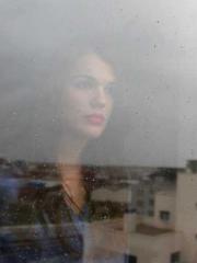 Two Treasures Arrive