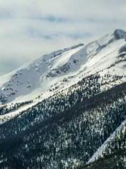 Wan Dao Long Huang Wan Dao Long Huang