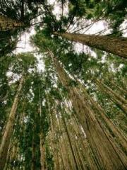 Meng Jinyu Gu Jingxi Meng Jinyu Gu Jingxi