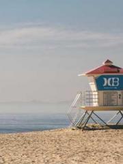 Reborn in 1989: Crea