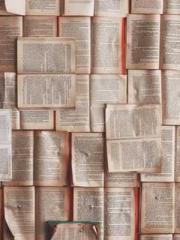 lt;Marry at first si