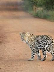 High School Campus S