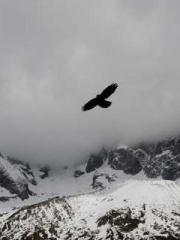 lt;Mr. Bao, Mrs. Bao