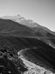 My projections are a