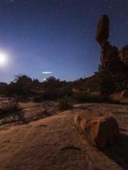 Double Blessing: CEO