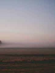 The Stand-in Wife Wa