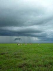 Urban Hidden Dragon Urban Hidden Dragon