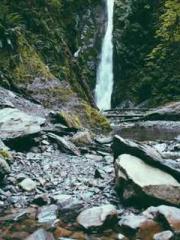 Transmigration: Feel