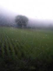 My stunning aunt lt;