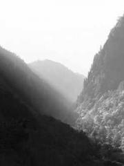 The Taoist nun was f The Taoist nun was f