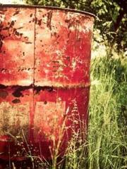 lt;Li Chen, the crow lt;Li Chen, the crow