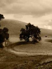 The Return of the Go