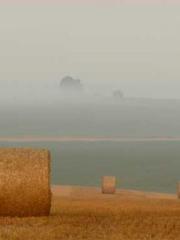 lt;Nineth Uncle, you