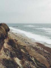 Empress Xie Empress Xie