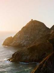 Becoming a solitary Becoming a solitary