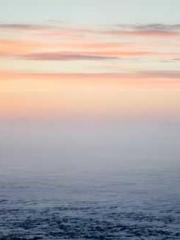 Ask for Immortality Ask for Immortality