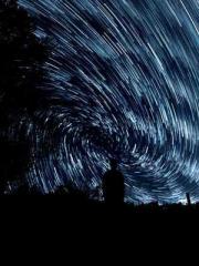 Su Qingyu Shen Zhixi Su Qingyu Shen Zhixi