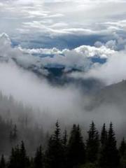 My projections are a