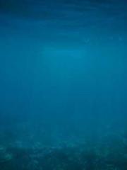 Li Qingqing and Zhao